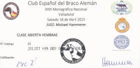 Exc 2ª Mejor Hembra Club Español del Braco Alemán. XXXI Monográfica Nacional de Valladolid, Sabado 18 de Abril 2015, Juez: Michael Hammerer