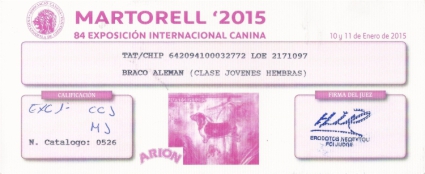 EXC 1ª / C.C.J / Mejor Joven. 84 Exposición Internacional Canina Martorell Enero 2015