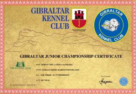 orian Del Cañon Colorado, Campeón de Gibraltar
