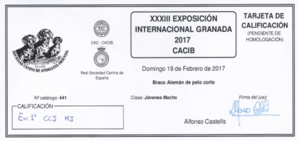 Exposición Internacional de Granada. EXC 1ª - CCJ - MEJOR JOVEN - MEJOR GRUPO VII