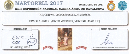 Tarjeta exposición Nacional de Barcelona, Junio 2017. Exc 1º / Mejor Joven / CCJ / Mejor de Raza.