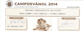 II concurso nacional canino en Campdevanòl, Exc 1ª y mejor joven