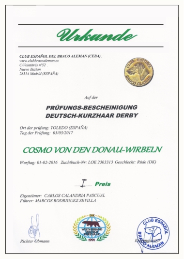 Certificado de Validación / Derby del Braco Alemán