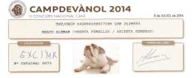 II concurso nacional canino en Campdevanòl, Exc 1ª y mejor raza