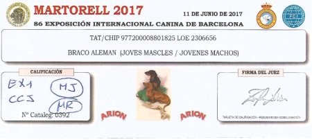 Tarjeta exposición internacional de Barcelona, Junio 2017. Exc 1º / Mejor Joven / CCJ / Mejor de Raza.