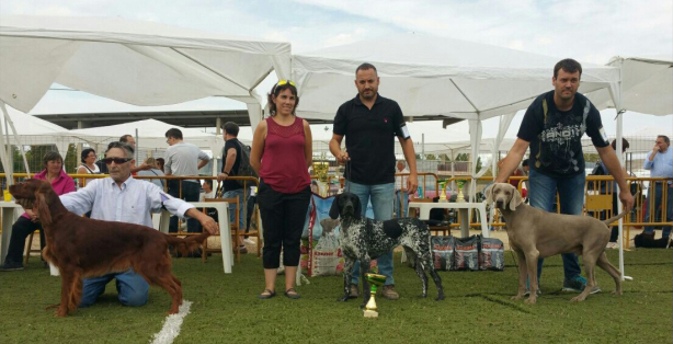 IX Concurso Nacional Canino Ciudad de Tàrrega