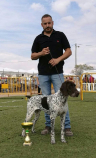 IX Concurso Nacional Canino Ciudad de Tàrrega