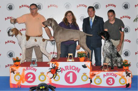 IV Exposición Internacional canina Octubre Valls 2015.
