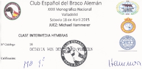 MB 1ª Club Español del Braco Alemán. XXXI Monográfica Nacional de Valladolid, Sabado 18 de Abril 2015, Juez: Michael Hammerer
