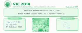XIX Exposición Nacional Canina Área de Catalunya Exc. 1ª CCT Jovenes Hembras