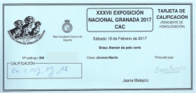 Exposición Nacional de Granada. EXC 1ª - CCJ - MEJOR JOVEN - MEJOR DE RAZA - 2 MEJOR JOVEN GRUPO VII - 2 MEJOR GRUPO VII