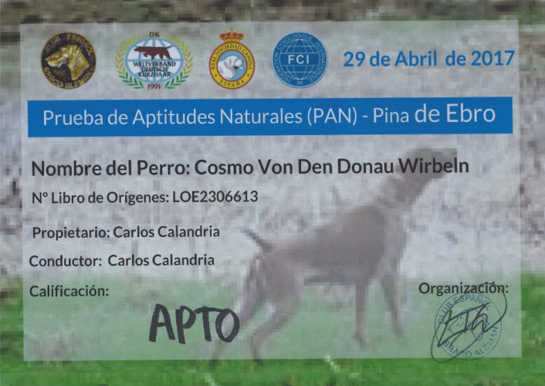 APTO en la prueba de Aptitudes Naturales (PAN) - Pina de Ebro