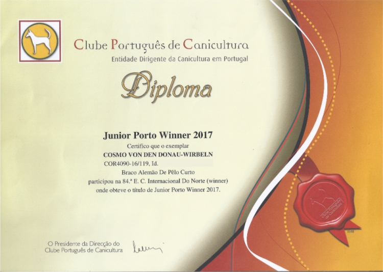 Junior Porto Winer 2017